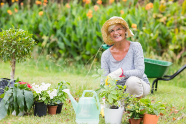 Práca v záhrade ako účinná terapia proti stresu: Objavte jej ohromujúce benefity!